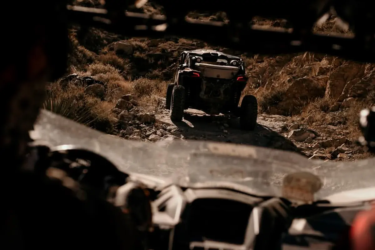 Disfrutando del paisaje